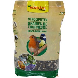 Distributeur de nourriture pour oiseaux sauvages en plein - Temu Belgium