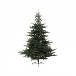 Sapin Grandis 240 cm