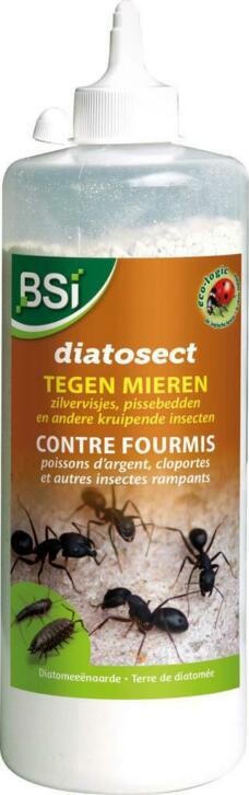 ✨ Insectes rampants et terre de diatomée